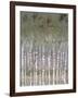 Pastel Birchline II-Jennifer Goldberger-Framed Art Print