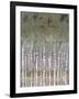 Pastel Birchline II-Jennifer Goldberger-Framed Art Print