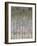Pastel Birchline II-Jennifer Goldberger-Framed Art Print