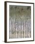 Pastel Birchline II-Jennifer Goldberger-Framed Art Print