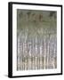 Pastel Birchline II-Jennifer Goldberger-Framed Art Print