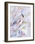 Pastel Birds 1-Marietta Cohen Art and Design-Framed Giclee Print