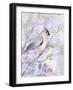 Pastel Birds 1-Marietta Cohen Art and Design-Framed Giclee Print