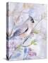 Pastel Birds 1-Marietta Cohen Art and Design-Stretched Canvas