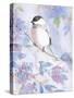 Pastel Birds 2-Marietta Cohen Art and Design-Stretched Canvas