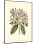 Pastel Blooms IV-Samuel Curtis-Mounted Art Print
