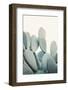 Pastel Cactus-Sisi and Seb-Framed Photo