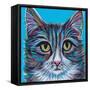 Pastel Cats I-Carolee Vitaletti-Framed Stretched Canvas