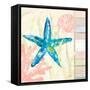 Pastel Coastal III-Julie DeRice-Framed Stretched Canvas
