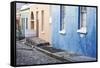 Pastel Colored Homes on Cobblestone Street in Bo-Kaap Residential District-Kimberly Walker-Framed Stretched Canvas