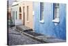 Pastel Colored Homes on Cobblestone Street in Bo-Kaap Residential District-Kimberly Walker-Stretched Canvas