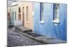 Pastel Colored Homes on Cobblestone Street in Bo-Kaap Residential District-Kimberly Walker-Mounted Photographic Print