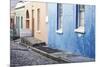 Pastel Colored Homes on Cobblestone Street in Bo-Kaap Residential District-Kimberly Walker-Mounted Photographic Print