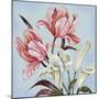 Pastel Floral II-Margaret Ferry-Mounted Art Print