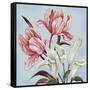 Pastel Floral II-Margaret Ferry-Framed Stretched Canvas