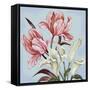 Pastel Floral II-Margaret Ferry-Framed Stretched Canvas