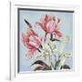 Pastel Floral II-Margaret Ferry-Framed Art Print