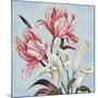 Pastel Floral II-Margaret Ferry-Mounted Art Print