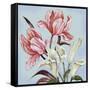 Pastel Floral II-Margaret Ferry-Framed Stretched Canvas