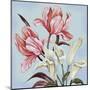 Pastel Floral II-Margaret Ferry-Mounted Art Print