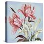 Pastel Floral II-Margaret Ferry-Stretched Canvas