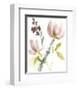 Pastel Flower Composition I-Jennifer Goldberger-Framed Art Print