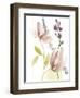 Pastel Flower Composition II-Jennifer Goldberger-Framed Art Print