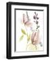 Pastel Flower Composition II-Jennifer Goldberger-Framed Art Print