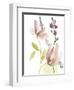 Pastel Flower Composition II-Jennifer Goldberger-Framed Art Print