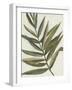 Pastel Frond II-Jennifer Goldberger-Framed Art Print