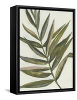 Pastel Frond II-Jennifer Goldberger-Framed Stretched Canvas