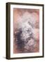 Pastel Hyrangeas, 2018-Helen White-Framed Giclee Print