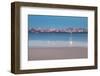 Pastel Marina San Francisco-Belinda Shi-Framed Photographic Print