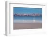 Pastel Marina San Francisco-Belinda Shi-Framed Photographic Print