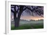 Pastel Morning-Vincent James-Framed Photographic Print