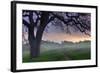 Pastel Morning-Vincent James-Framed Photographic Print