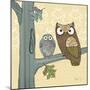 Pastel Owls IV-Paul Brent-Mounted Art Print