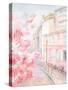 Pastel Paris II-Danhui Nai-Stretched Canvas