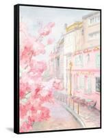 Pastel Paris II-Danhui Nai-Framed Stretched Canvas