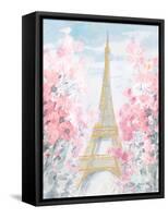 Pastel Paris III-Danhui Nai-Framed Stretched Canvas