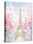 Pastel Paris III-Danhui Nai-Stretched Canvas