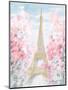 Pastel Paris III-Danhui Nai-Mounted Art Print