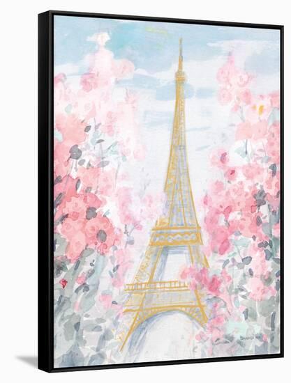 Pastel Paris III-Danhui Nai-Framed Stretched Canvas