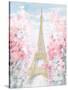 Pastel Paris III-Danhui Nai-Stretched Canvas