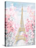 Pastel Paris III-Danhui Nai-Stretched Canvas