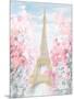 Pastel Paris III-Danhui Nai-Mounted Art Print