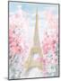 Pastel Paris III-Danhui Nai-Mounted Art Print