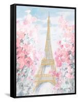 Pastel Paris III-Danhui Nai-Framed Stretched Canvas