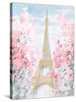 Pastel Paris III-Danhui Nai-Stretched Canvas