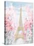 Pastel Paris III-Danhui Nai-Stretched Canvas